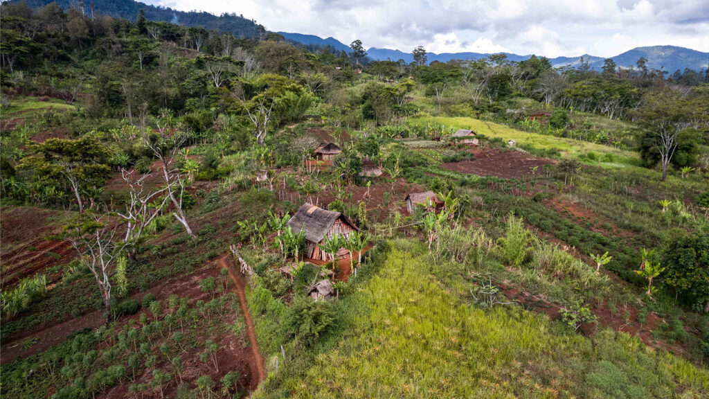 The village huts surrounded by lush greenery. Goroka, Eastern Highlands Province, Papua New Guinea. - International Magazine Kreol The village huts surrounded by lush greenery. Goroka, Eastern Highlands Province, Papua New Guinea.