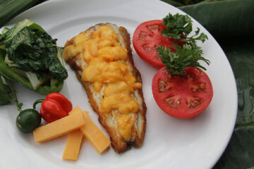 Fillet of Dorado with Melted Cheese
