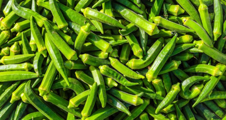 Pot - International Magazine Kreol Bundles of fresh long green beans tied with colorful strings in a woven basket.