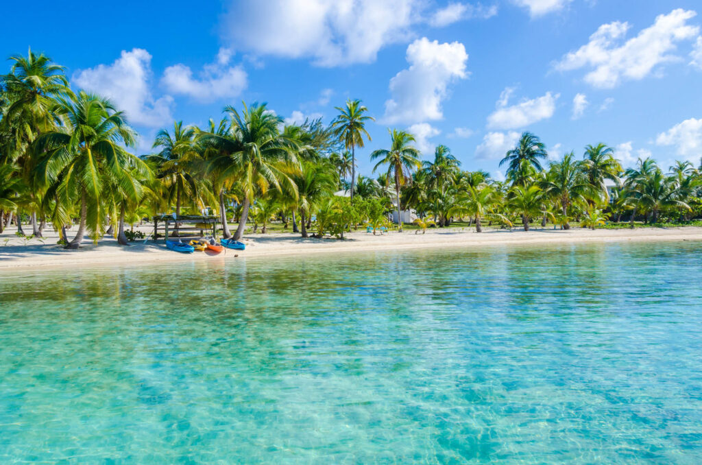BelizeCayes-SmallTropicalIslandAtBarrierReefWith - International Magazine Kreol Tropical beach with palm trees along the shore under a bright blue sky and turquoise calm water.